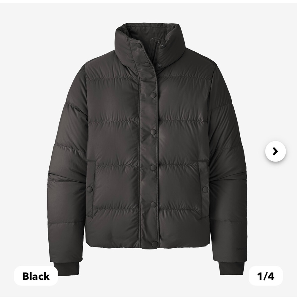 Patagonia Black Puffer Jacket